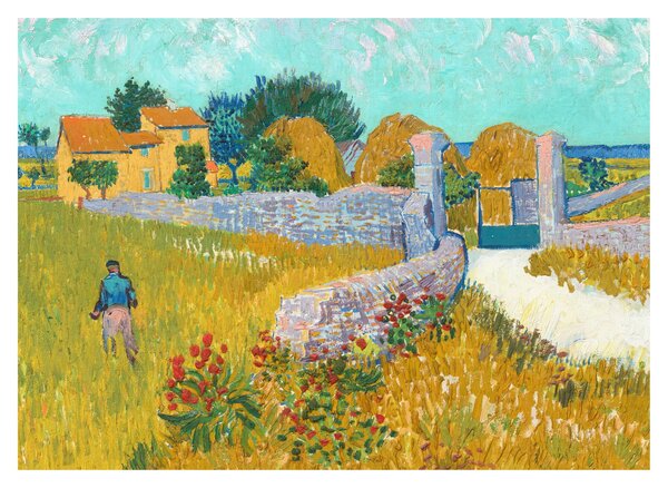 Obraz - Vincent van Gogh, Farmhouse in Provence, reprodukcia (70x50 cm)