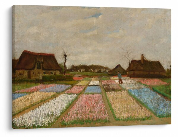 Obraz - Vincent van Gogh, Flower Beds in Holland, reprodukcia (70x50 cm)