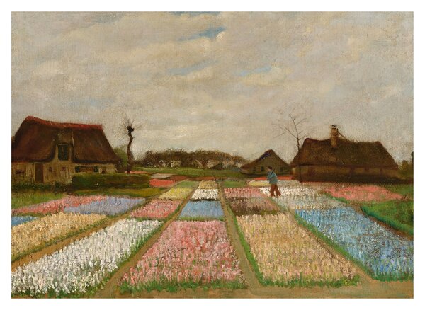 Obraz - Vincent van Gogh, Flower Beds in Holland, reprodukcia (70x50 cm)