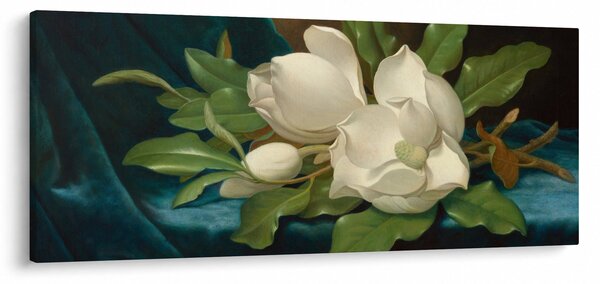 Obraz - Martin Johnson Heade, Giant Magnolias on a Blue Velvet Cloth, reprodukcia (120x50 cm)