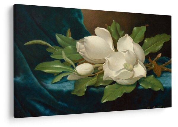 Obraz - Martin Johnson Heade, Giant Magnolias on a Blue Velvet Cloth, reprodukcia (90x60 cm)