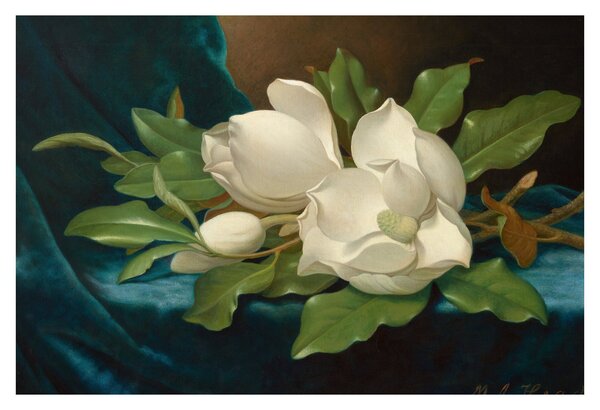Obraz - Martin Johnson Heade, Giant Magnolias on a Blue Velvet Cloth, reprodukcia (90x60 cm)