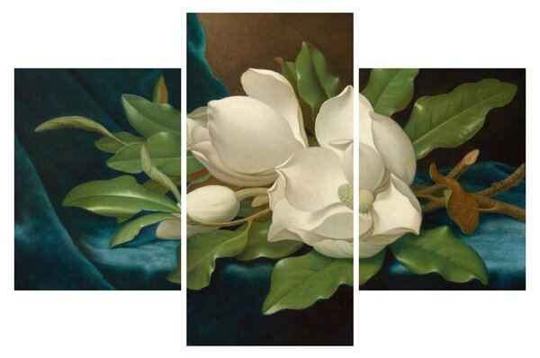 Obraz - Martin Johnson Heade, Giant Magnolias on a Blue Velvet Cloth, reprodukcia (90x60 cm)