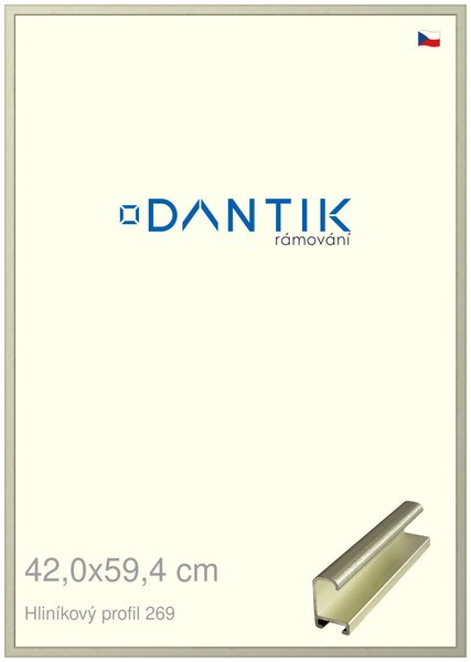 DANTIK rám na obraz 42x59,4 | ALU Šedá Pyrit broušená (Plexi Čiré)