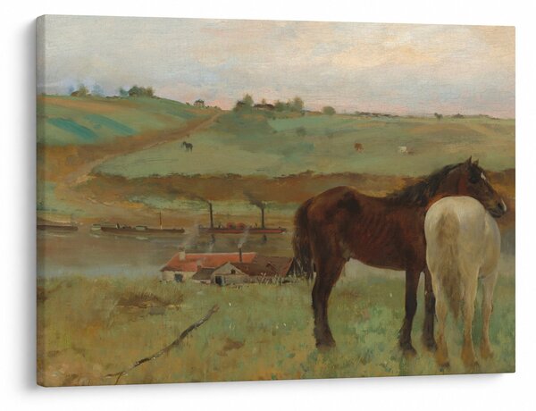 Obraz - Edgar Degas, Horses in a Meadow, reprodukcia (70x50 cm)