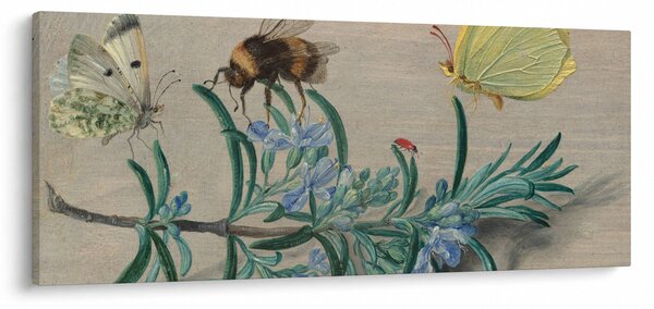 Obraz - Jan van Kessel the Elder, Insects and a Sprig of Rosemary, reprodukcia (120x50 cm)