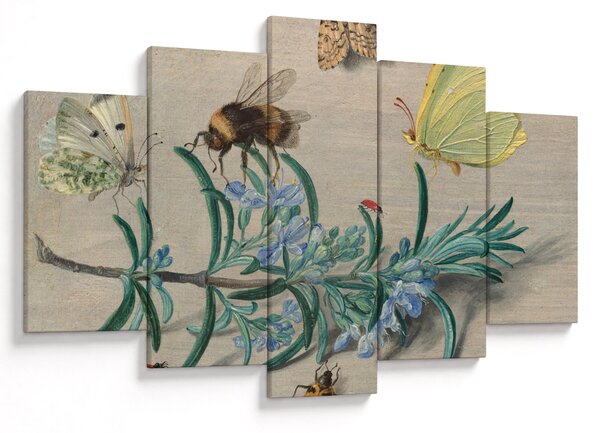Obraz - Jan van Kessel the Elder, Insects and a Sprig of Rosemary, reprodukcia (150x105 cm)