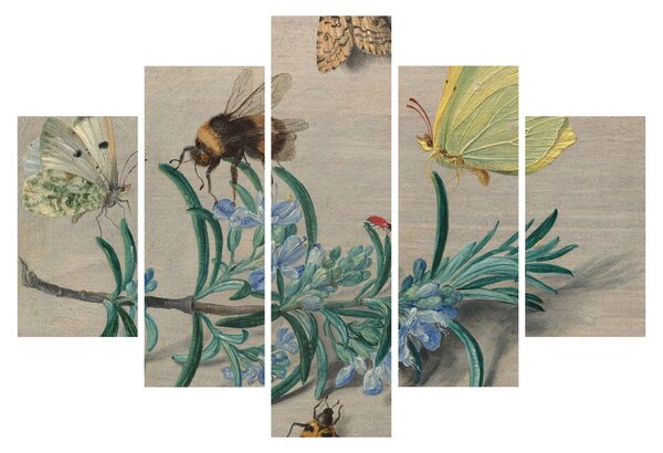 Obraz - Jan van Kessel the Elder, Insects and a Sprig of Rosemary, reprodukcia (150x105 cm)
