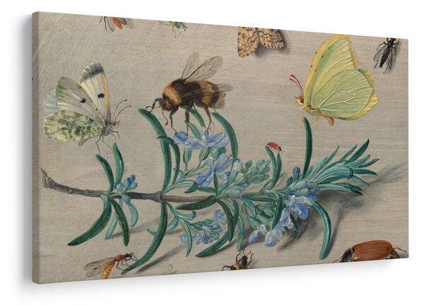 Obraz - Jan van Kessel the Elder, Insects and a Sprig of Rosemary, reprodukcia (90x60 cm)