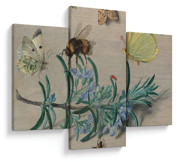 Obraz - Jan van Kessel the Elder, Insects and a Sprig of Rosemary, reprodukcia (90x60 cm)