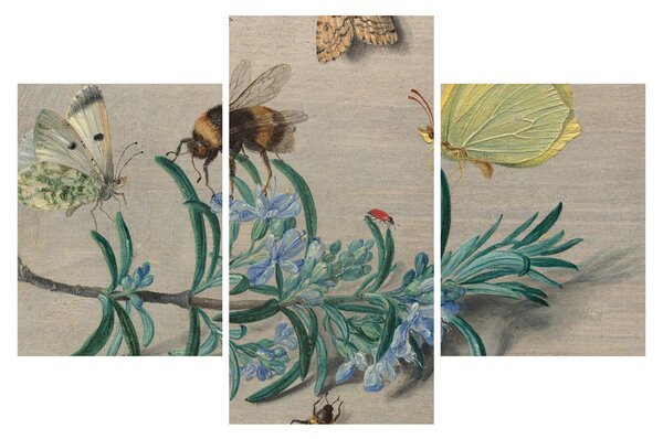 Obraz - Jan van Kessel the Elder, Insects and a Sprig of Rosemary, reprodukcia (90x60 cm)
