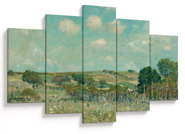 Obraz - Alfred Sisley, Meadow, reprodukcia (150x105 cm)