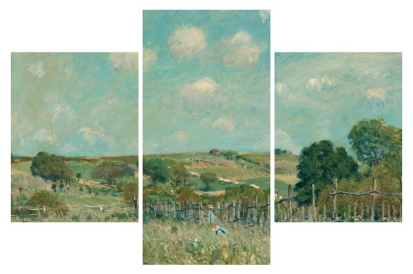Obraz - Alfred Sisley, Meadow, reprodukcia (90x60 cm)