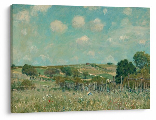 Obraz - Alfred Sisley, Meadow, reprodukcia (70x50 cm)