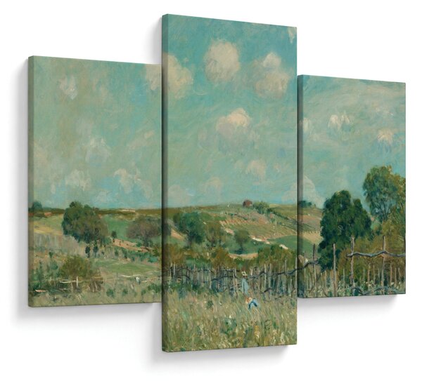 Obraz - Alfred Sisley, Meadow, reprodukcia (90x60 cm)