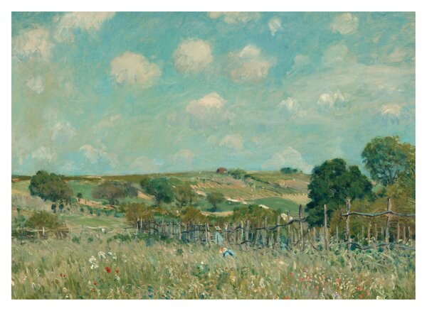 Obraz - Alfred Sisley, Meadow, reprodukcia (70x50 cm)