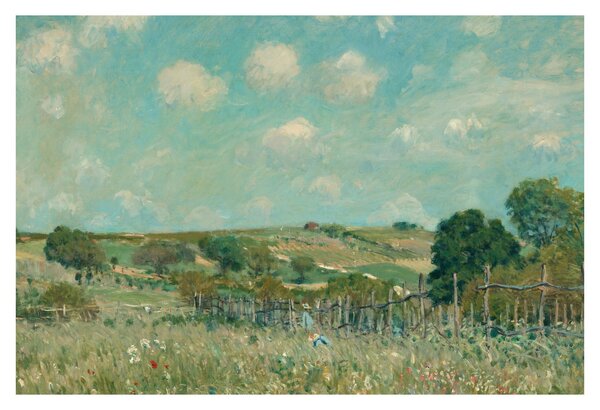 Obraz - Alfred Sisley, Meadow, reprodukcia (90x60 cm)