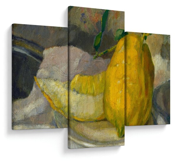 Obraz - French 19th Century, Melon and Lemon, reprodukcia (90x60 cm)