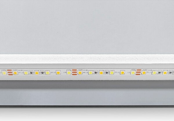 REA - Zrkadlo LED SQR 50x100cm, HOM-02507