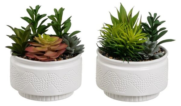 Umelé rastliny v súprave 2 ks (výška 19 cm) Cactus – Casa Selección