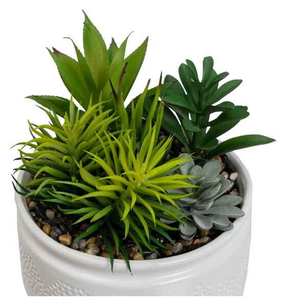 Umelé rastliny v súprave 2 ks (výška 19 cm) Cactus – Casa Selección