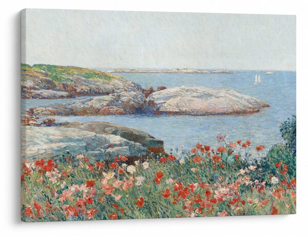 Obraz - Childe Hassam, Poppies, Isles of Shoals, reprodukcia (70x50 cm)