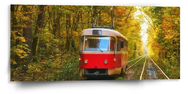 Sablio Obraz Červená električka v lese - 110x50 cm