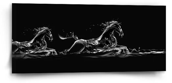 Sablio Obraz Vodný kôň - 110x50 cm