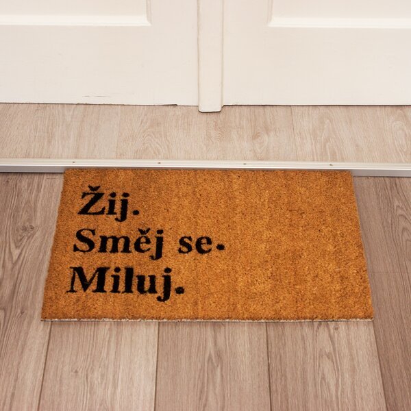 Home Elements Rohožka Ži, smej sa, miluj Home Elements