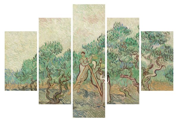Obraz - Vincent van Gogh, The Olive Orchard, reprodukcia (150x105 cm)