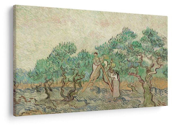 Obraz - Vincent van Gogh, The Olive Orchard, reprodukcia (90x60 cm)