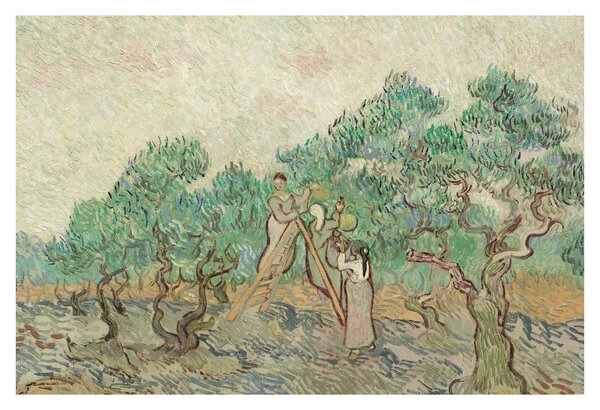 Obraz - Vincent van Gogh, The Olive Orchard, reprodukcia (90x60 cm)