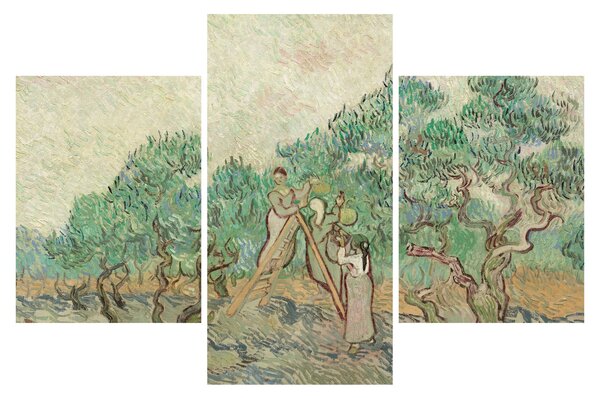 Obraz - Vincent van Gogh, The Olive Orchard, reprodukcia (90x60 cm)