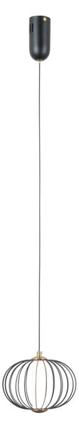 Italux PND-344221-1-BK LED závesné stropné svietidlo Rabel | 5W LED | 432lm | 3000K