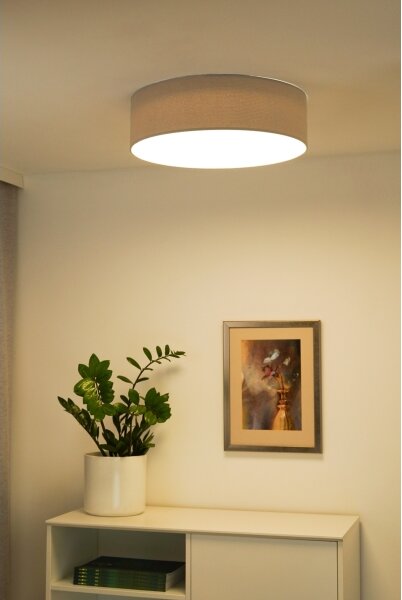 Duolla - LED Stropné svietidlo CORTINA LED/26W/230V pr. 30 cm 4000K šedá