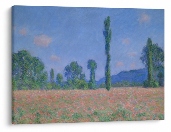 Obraz - Claude Monet, Poppy Field (Giverny), reprodukcia (70x50 cm)