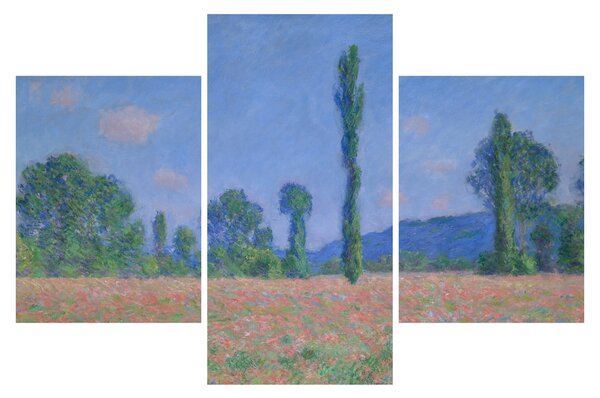 Obraz - Claude Monet, Poppy Field (Giverny), reprodukcia (90x60 cm)