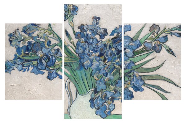 Obraz - Vincent van Gogh, Irises, reprodukcia (90x60 cm)