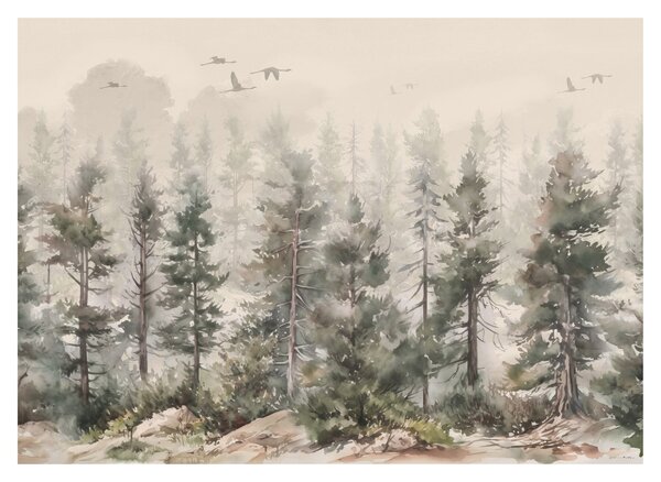 Sklenený obraz - Borovicový les I., aquarel (70x50 cm)