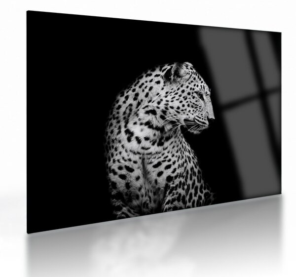 Sklenený obraz - Leopard (70x50 cm)