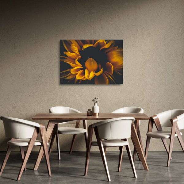 Sklenený obraz - Slnečnica v čiernom pozadí (70x50 cm)