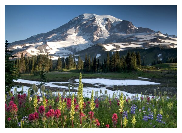 Sklenený obraz - Mount Rainier (70x50 cm)