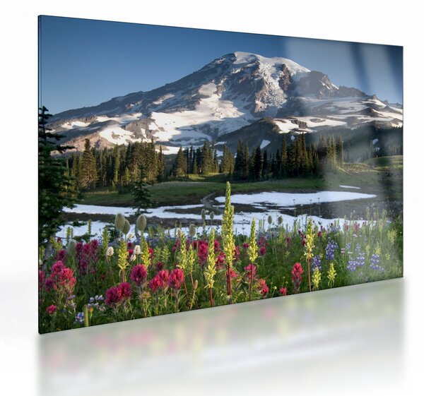 Sklenený obraz - Mount Rainier (70x50 cm)