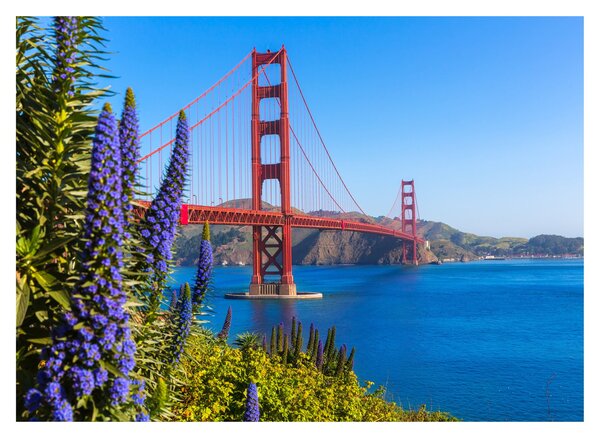 Sklenený obraz - Golden Gate Bridge, San Francisco (70x50 cm)