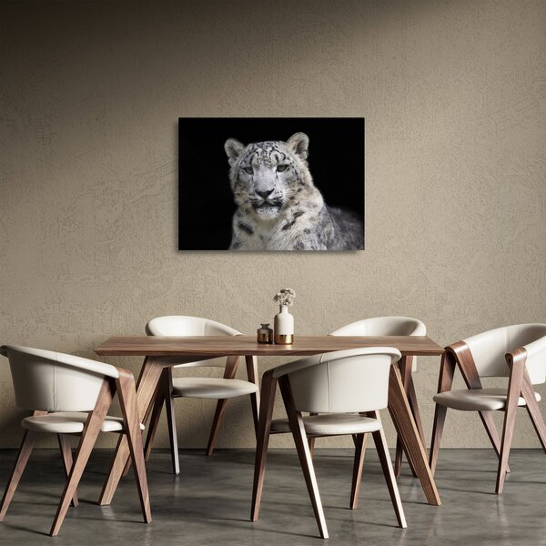 Sklenený obraz - Leopard snežný (70x50 cm)