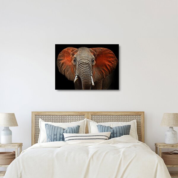 Sklenený obraz - Slony z Tsavo (70x50 cm)