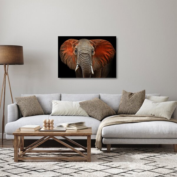 Sklenený obraz - Slony z Tsavo (70x50 cm)