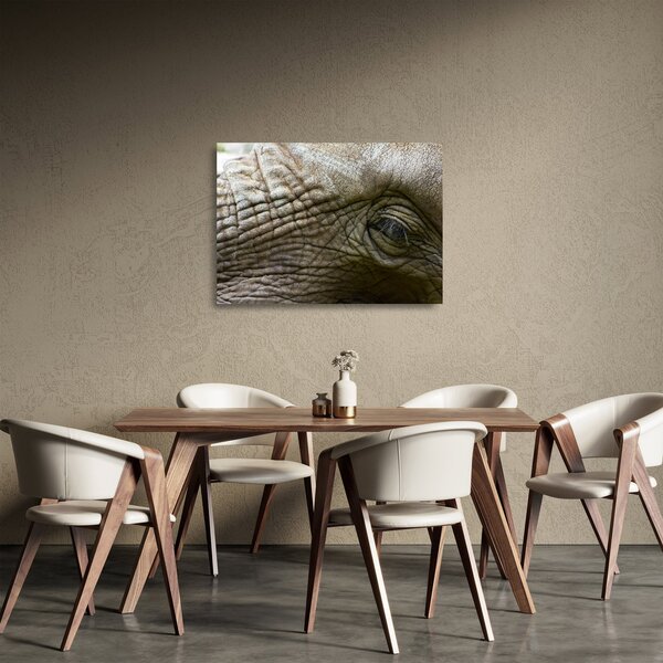 Sklenený obraz - Detailné fotografie starého slonieho oka (70x50 cm)
