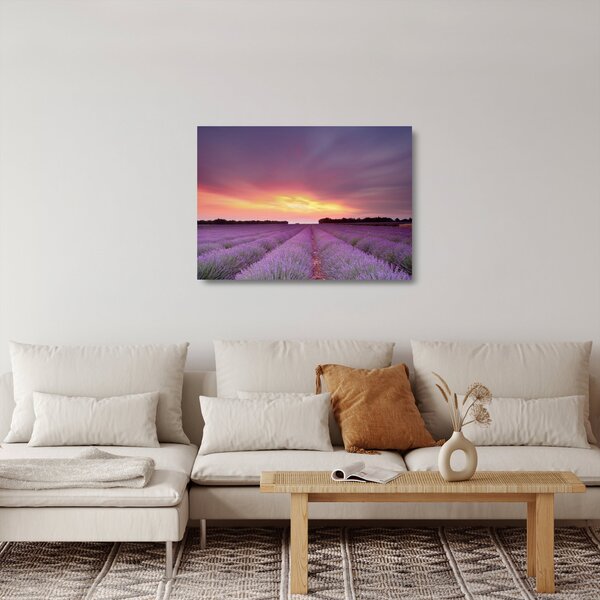 Sklenený obraz - Levanduľové pole (70x50 cm)