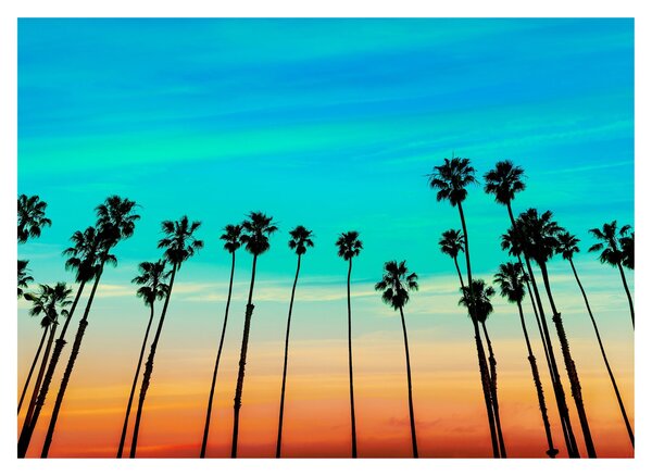 Sklenený obraz - Kalifornia (70x50 cm)